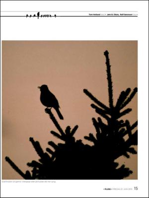 aftenbladet_pluss-20130621_000_00_00_015.pdf