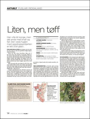 aftenbladet_pluss-20130628_000_00_00_014.pdf