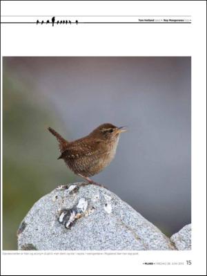 aftenbladet_pluss-20130628_000_00_00_015.pdf