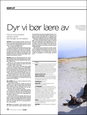 aftenbladet_pluss-20130628_000_00_00_018.pdf