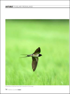 aftenbladet_pluss-20130705_000_00_00_014.pdf