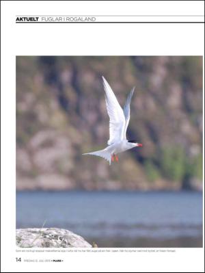 aftenbladet_pluss-20130712_000_00_00_014.pdf