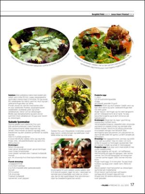 aftenbladet_pluss-20130712_000_00_00_017.pdf