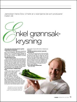 aftenbladet_pluss-20130719_000_00_00_011.pdf