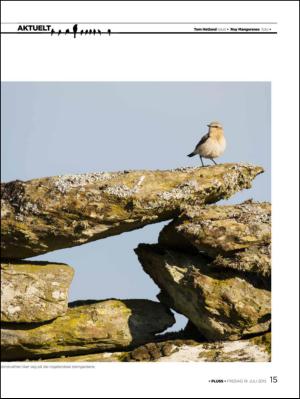 aftenbladet_pluss-20130719_000_00_00_015.pdf