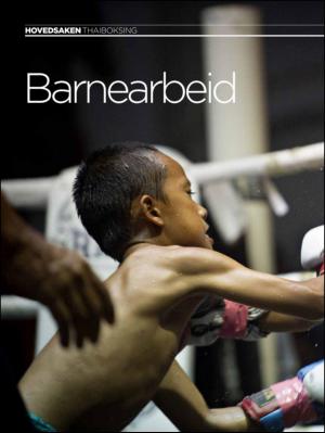 aftenbladet_pluss-20130726_000_00_00_006.pdf