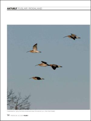 aftenbladet_pluss-20130726_000_00_00_014.pdf