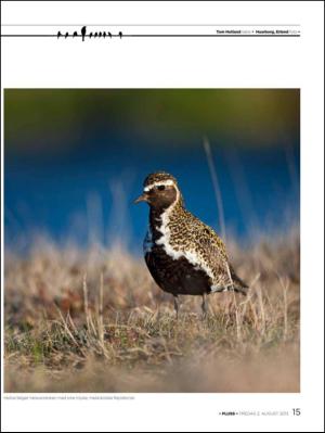 aftenbladet_pluss-20130802_000_00_00_015.pdf