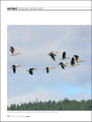 aftenbladet_pluss-20130809_000_00_00_014.pdf