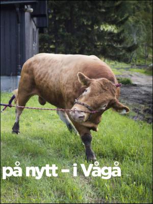 aftenbladet_pluss-20130816_000_00_00_013.pdf