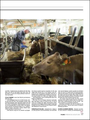 aftenbladet_pluss-20130816_000_00_00_017.pdf