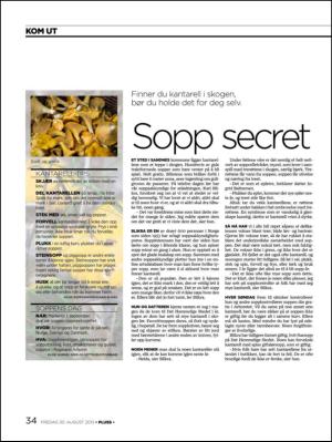 aftenbladet_pluss-20130830_000_00_00_034.pdf