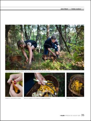 aftenbladet_pluss-20130830_000_00_00_035.pdf