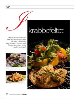 aftenbladet_pluss-20130906_000_00_00_026.pdf