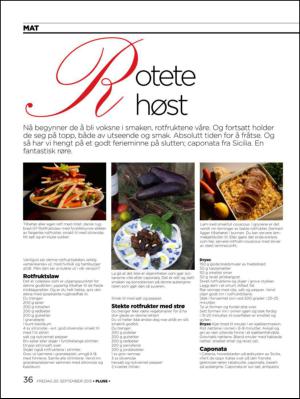 aftenbladet_pluss-20130920_000_00_00_036.pdf