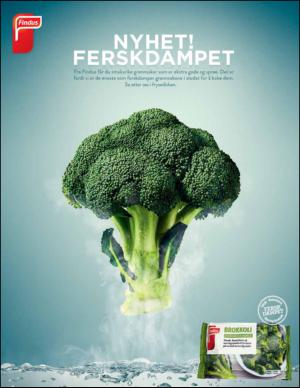 aftenbladet_pluss-20131109_000_00_00_013.pdf