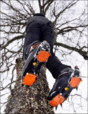 aftenbladet_pluss-20131228_000_00_00_008.pdf