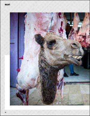 aftenbladet_pluss-20131228_000_00_00_028.pdf