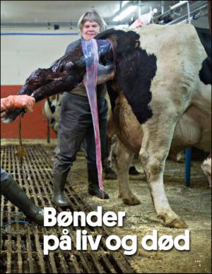 aftenbladet_pluss-20140104_000_00_00_009.pdf