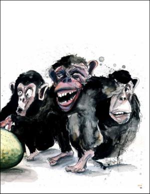 aftenbladet_pluss-20140201_000_00_00_011.pdf