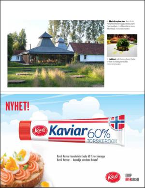 aftenbladet_pluss-20140510_000_00_00_025.pdf