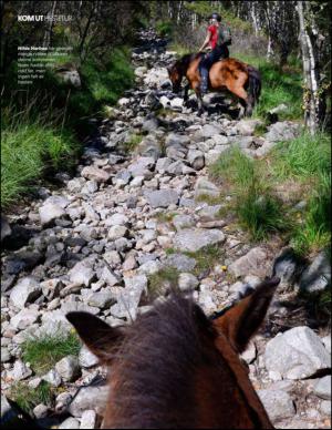 aftenbladet_pluss-20141004_000_00_00_012.pdf