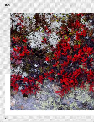 aftenbladet_pluss-20141011_000_00_00_024.pdf