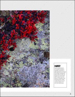 aftenbladet_pluss-20141011_000_00_00_025.pdf