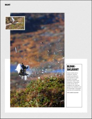 aftenbladet_pluss-20141018_000_00_00_024.pdf