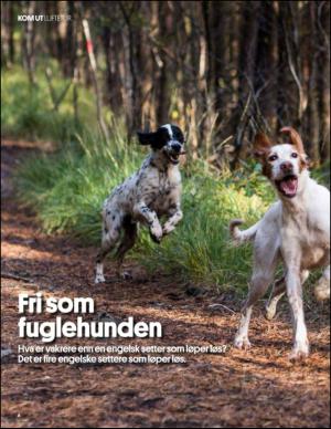 aftenbladet_pluss-20141101_000_00_00_008.pdf