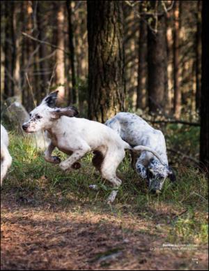 aftenbladet_pluss-20141101_000_00_00_009.pdf