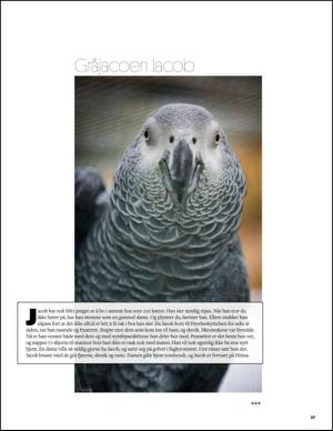 aftenbladet_pluss-20141115_000_00_00_027.pdf
