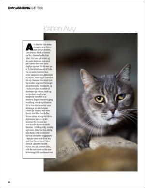 aftenbladet_pluss-20141115_000_00_00_028.pdf