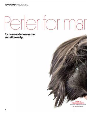 aftenbladet_pluss-20141129_000_00_00_014.pdf