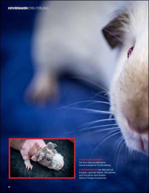 aftenbladet_pluss-20141129_000_00_00_018.pdf
