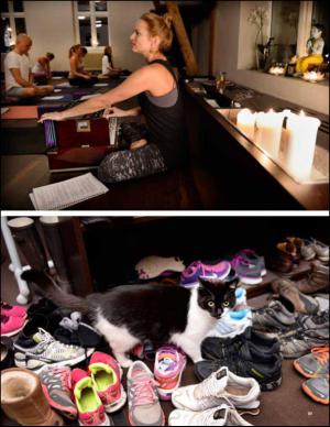 aftenbladet_pluss-20141206_000_00_00_027.pdf