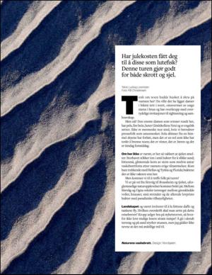 aftenbladet_pluss-20150103_000_00_00_007.pdf