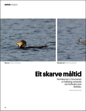 aftenbladet_pluss-20150131_000_00_00_028.pdf