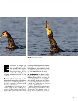 aftenbladet_pluss-20150131_000_00_00_029.pdf