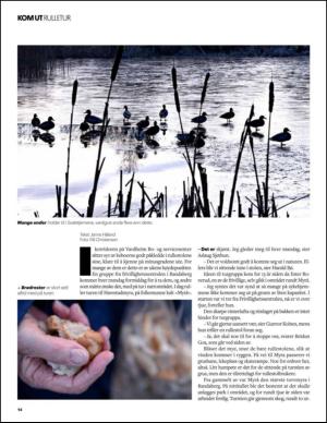 aftenbladet_pluss-20150207_000_00_00_014.pdf