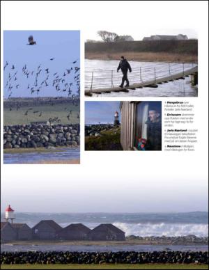 aftenbladet_pluss-20150221_000_00_00_015.pdf