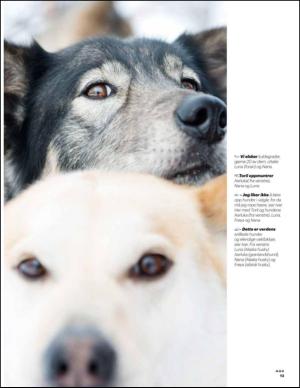 aftenbladet_pluss-20150411_000_00_00_013.pdf