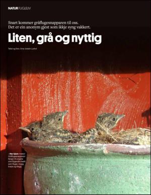 aftenbladet_pluss-20150418_000_00_00_032.pdf