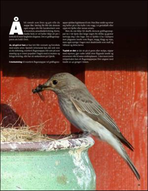 aftenbladet_pluss-20150418_000_00_00_033.pdf