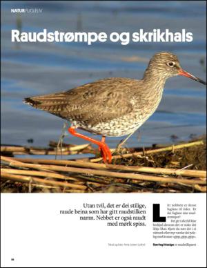 aftenbladet_pluss-20150815_000_00_00_026.pdf