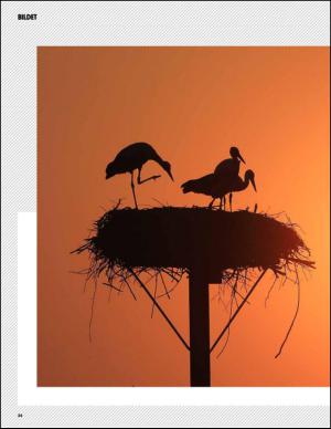 aftenbladet_pluss-20150822_000_00_00_034.pdf