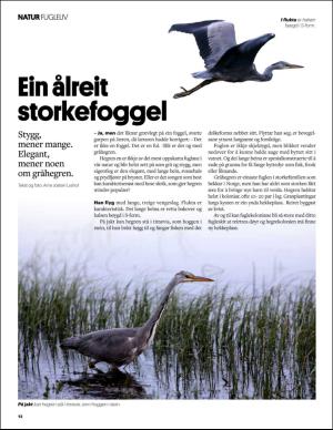 aftenbladet_pluss-20150926_000_00_00_012.pdf