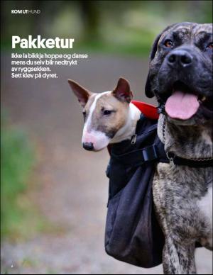 aftenbladet_pluss-20151031_000_00_00_008.pdf