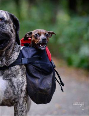 aftenbladet_pluss-20151031_000_00_00_009.pdf