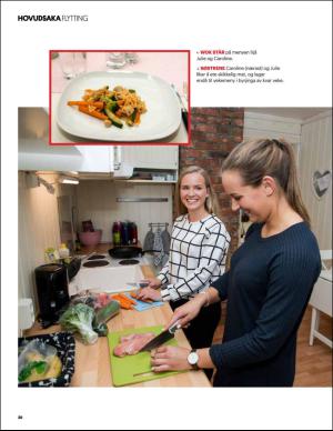 aftenbladet_pluss-20151031_000_00_00_020.pdf